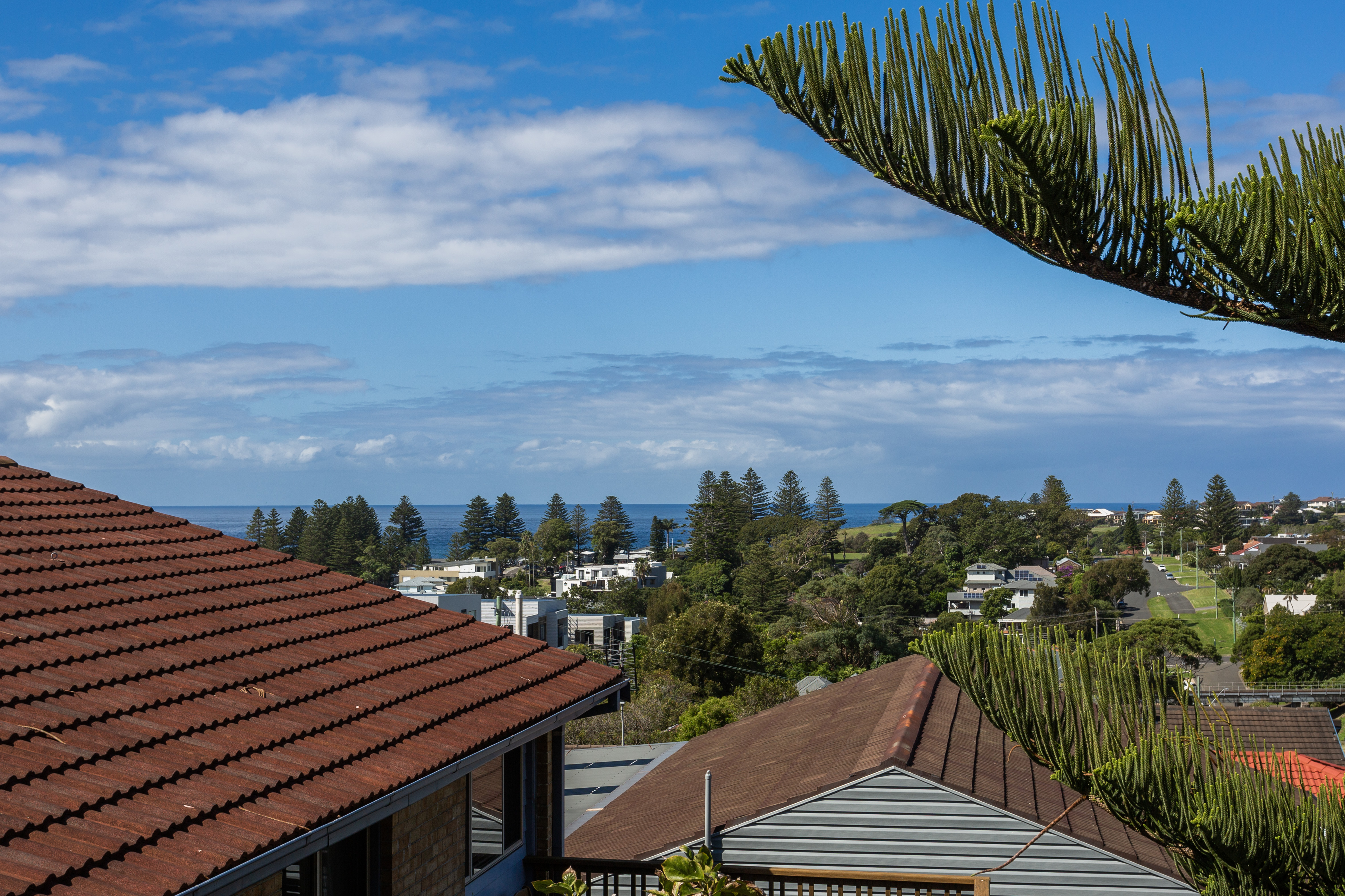 37 FARMER ST, KIAMA NSW 2533, 0 Bedrooms, 0 Bathrooms, House