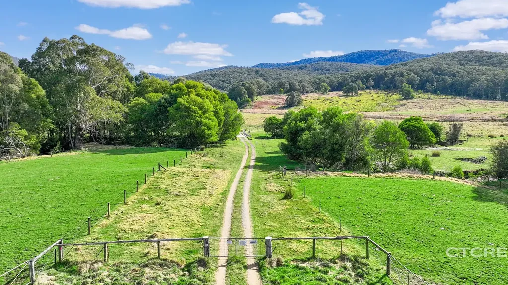 Combienbar Acres of Privacy, Peace & Serenity