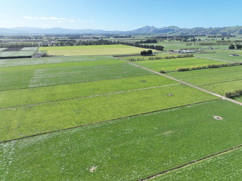 196 Bremners Road, Momona, Dunedin, 0 ਕਮਰੇ, 0 ਬਾਥਰੂਮ, Dairy