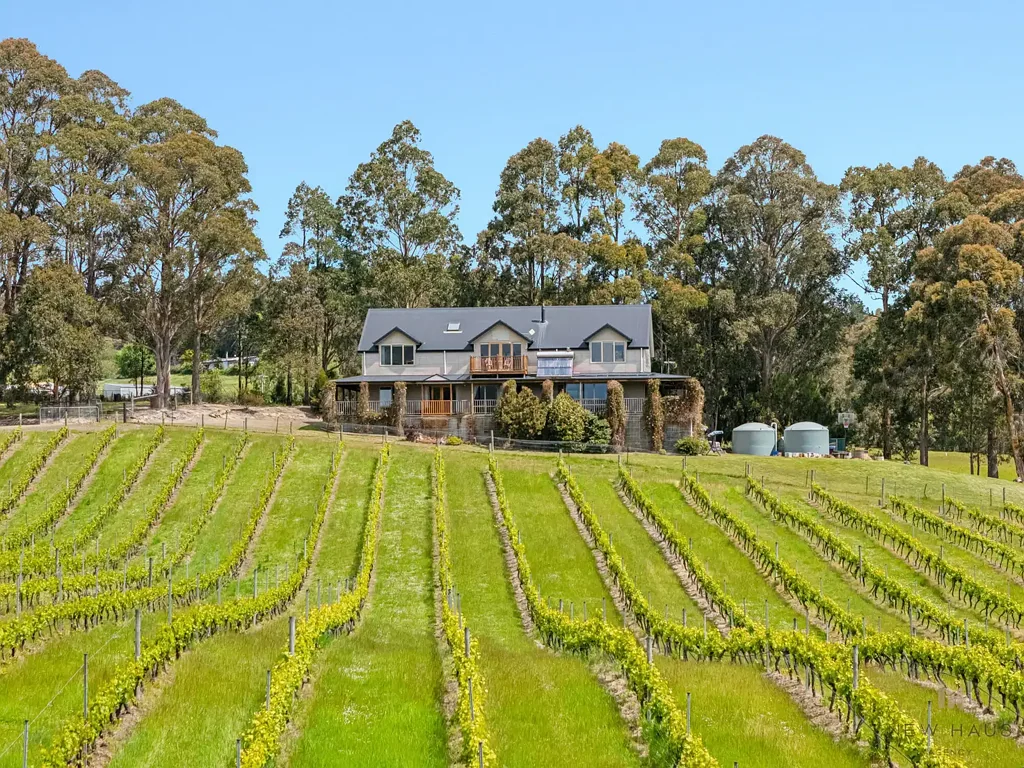 Cradoc 5Kwarto Vineyard Views | A Home That Feels Like Acres!