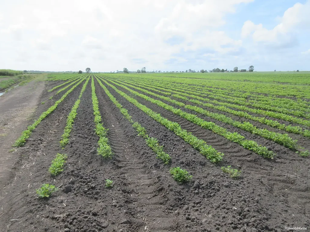Moore Park Beach FARMING LAND CLOSE TO TOWN OR BEACH