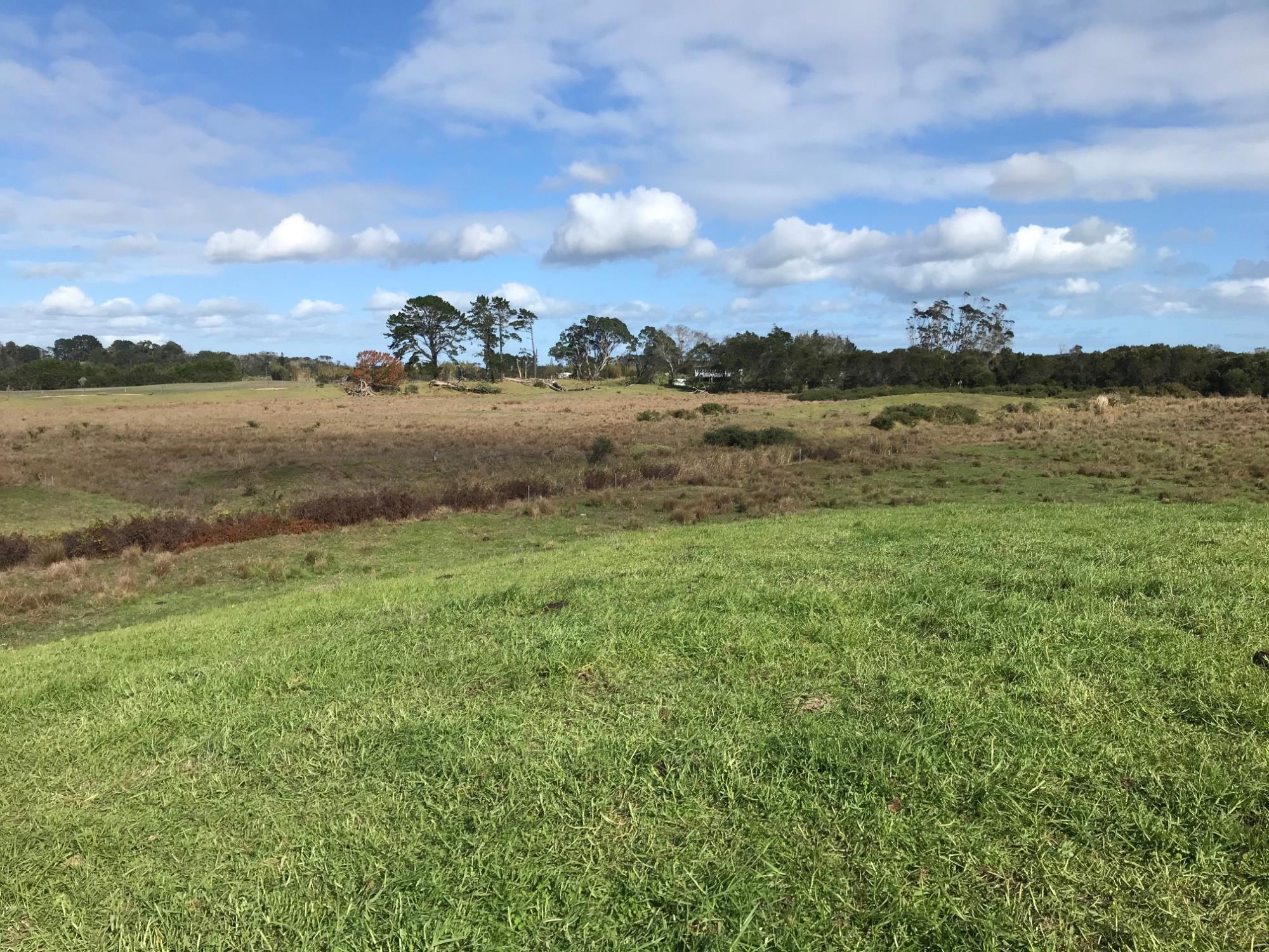 State Highway 1, Mangamuka, Far North, 0房, 1浴