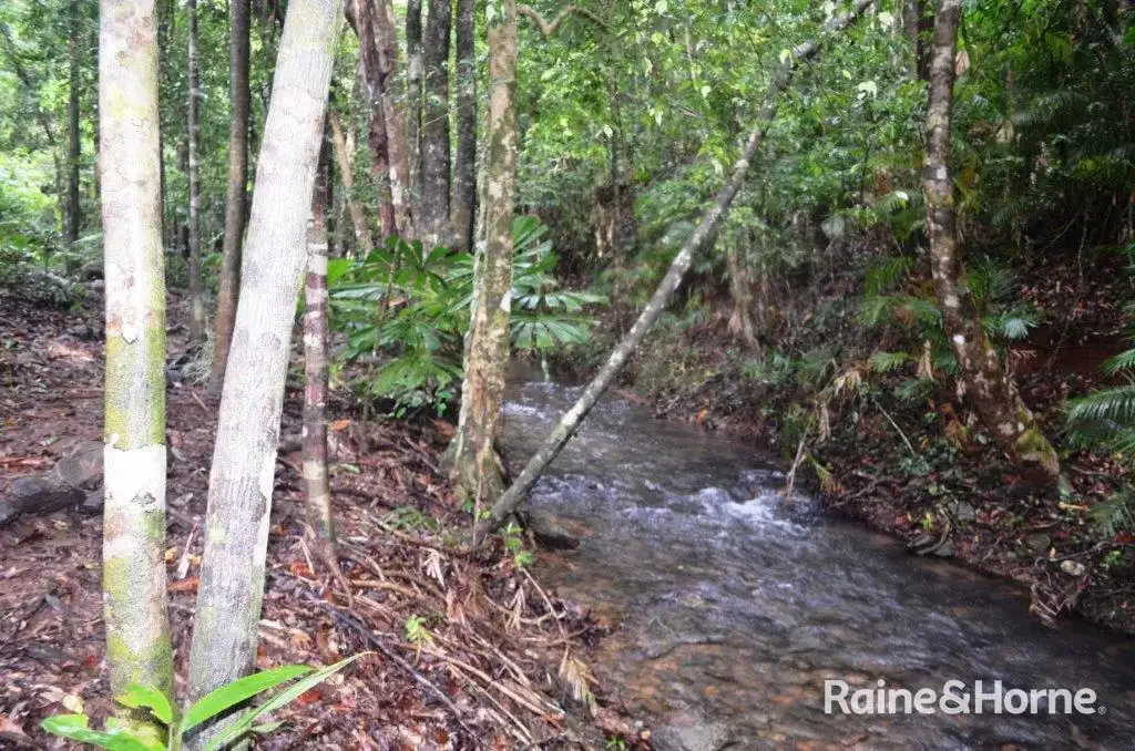 Daintree 3房  Ultimate Daintree Rainforest Living - Creek and Beach