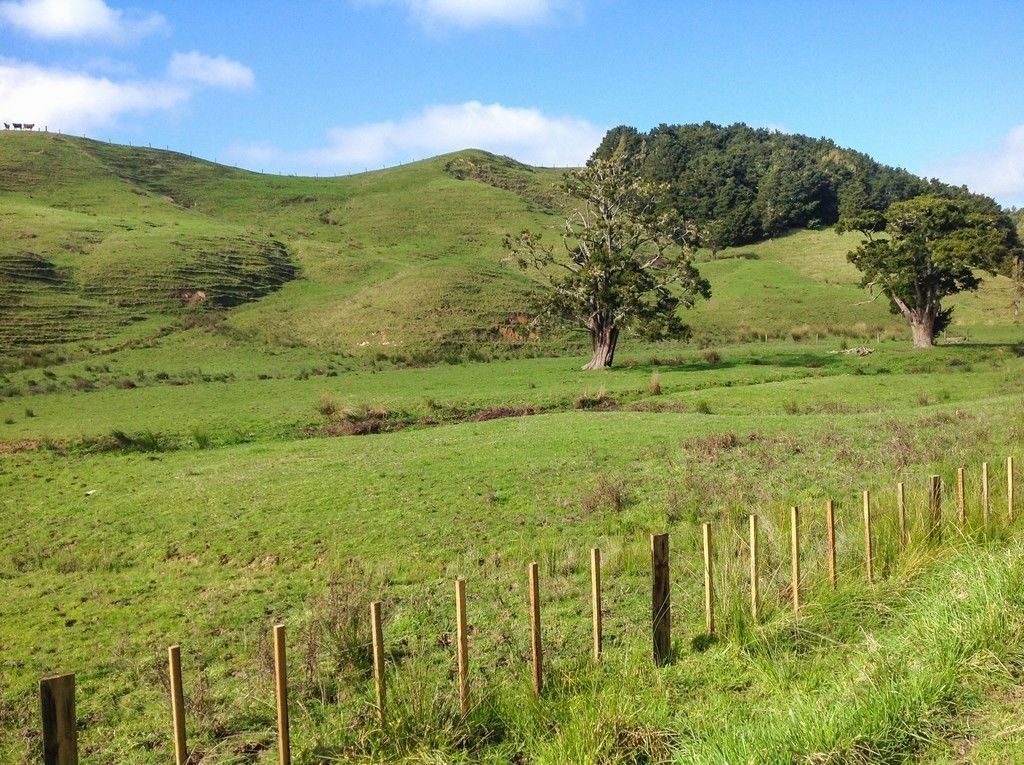 Ararua Road, Otamatea Surrounds, Kaipara, 0房, 0浴