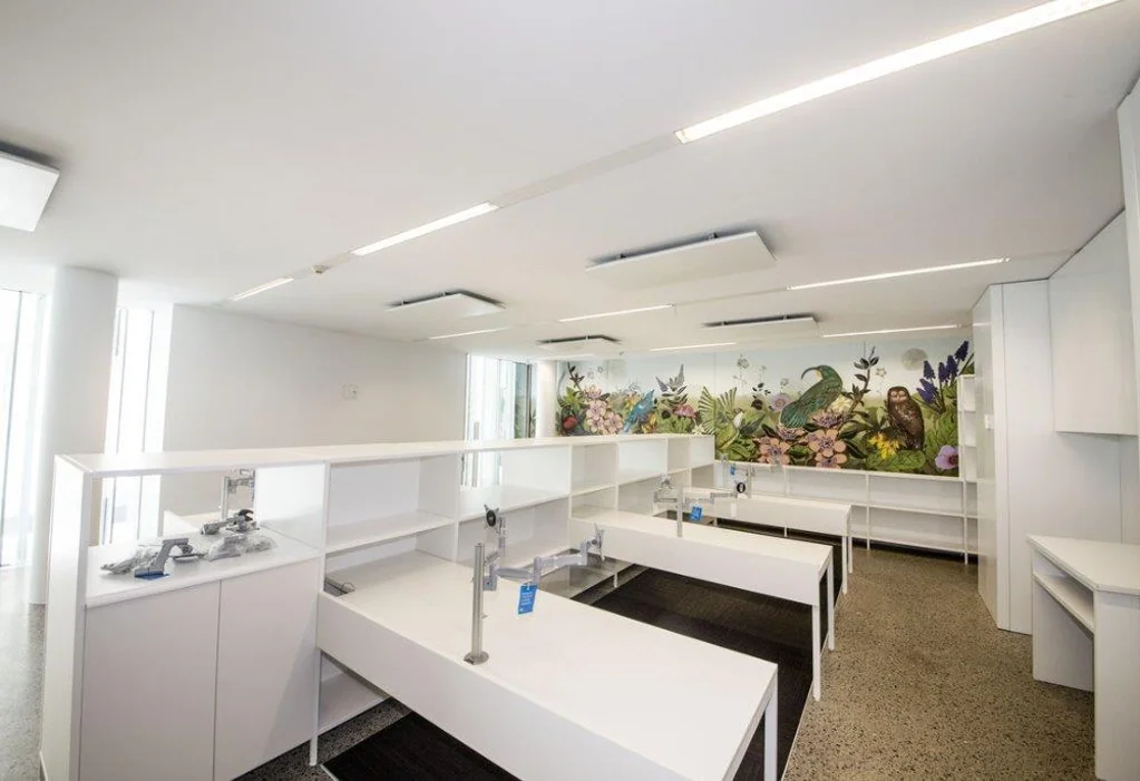 Parnell CBRE - Parnell Perfection