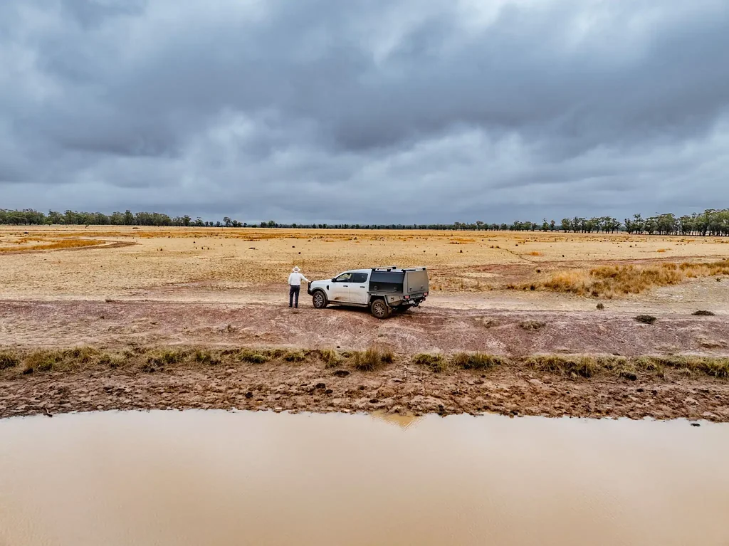 Parkes This is How You Buy 'Em - Central West Cattle & Cropping + 42mm*  Rain in March