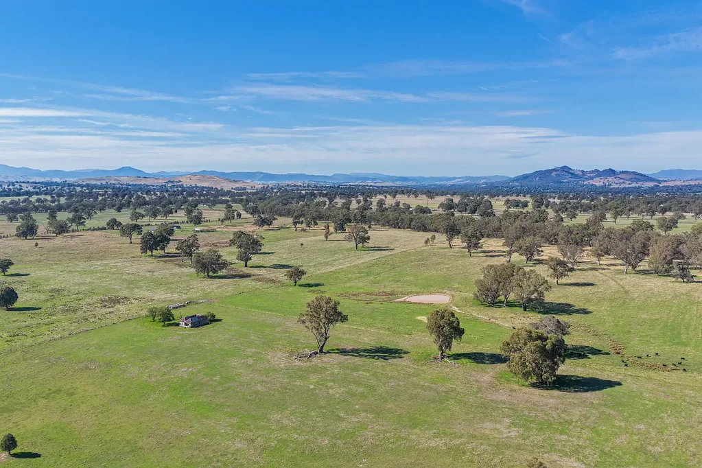 Mansfield SPACE, SERENITY & FUTURE POTENTIAL - 88 ACRES