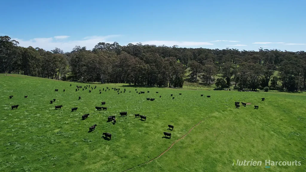 90 Porcupine Ridge Road, Daylesford, VIC 3460