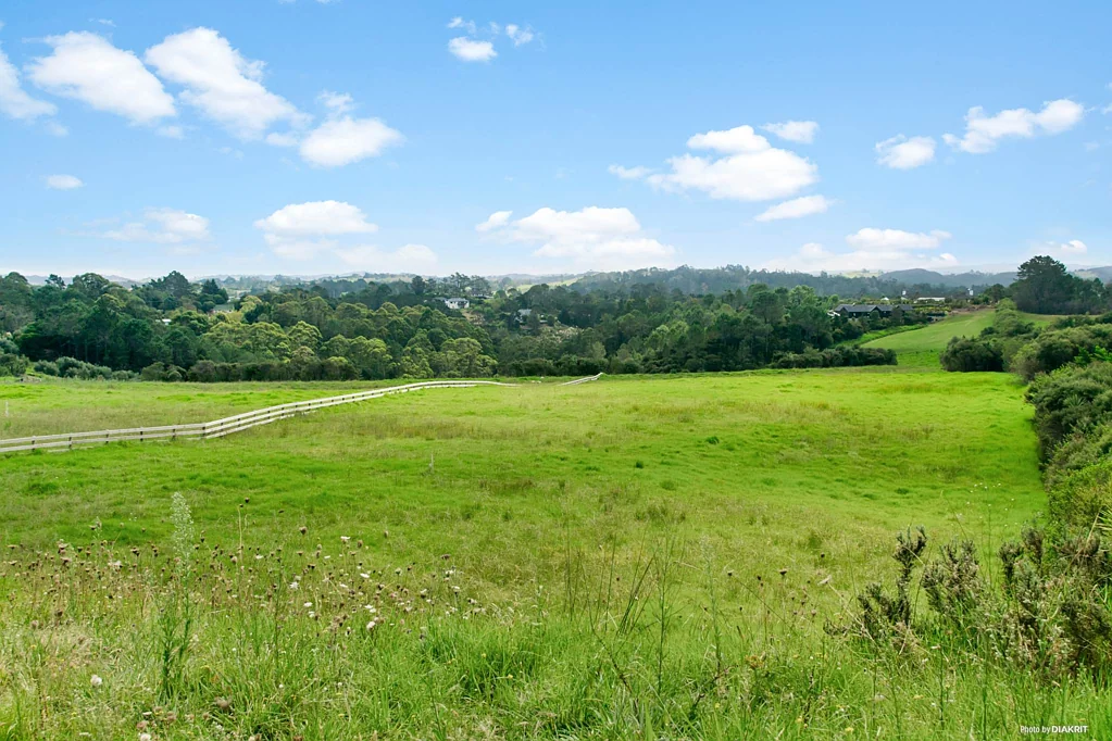 Okura  2ha Lifestyle Living - Subdivision Potential