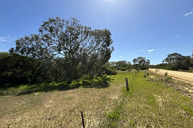 ਬਾਹਰੀ - LOT 9 Flinders Highway, Wangary, SA 5607