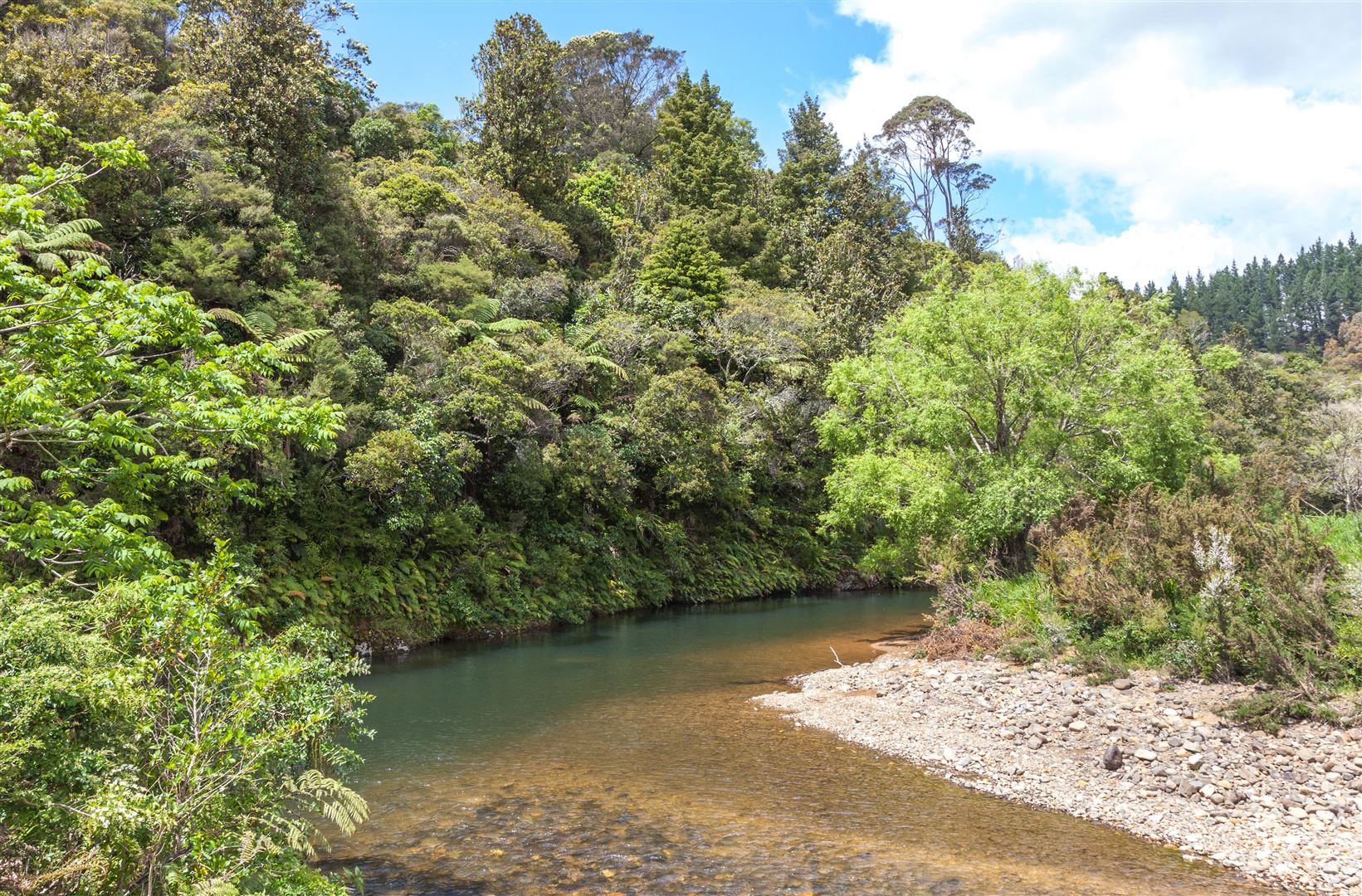 1710 The 309 Road, Kaimarama, Coromandel, 0房, 0浴