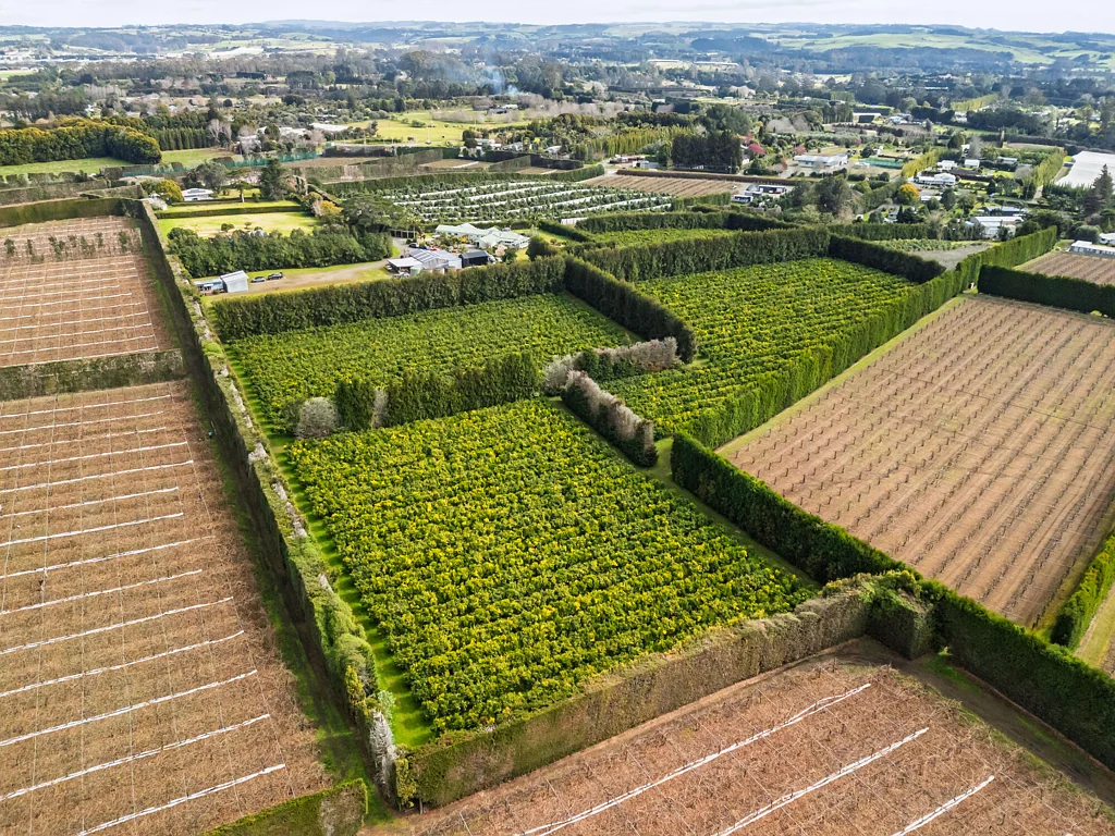 Kerikeri 1房  Productive Lifestyle Horticultural Investment