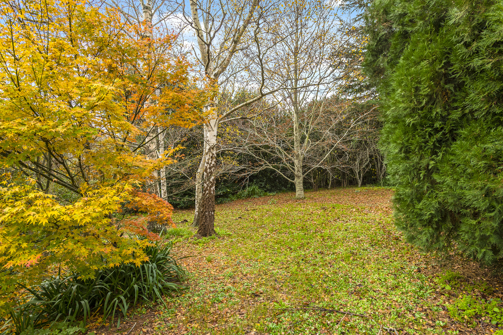 5 CHRISTIAN ST, MOUNT MACEDON VIC 3441, 0房, 0浴, Section