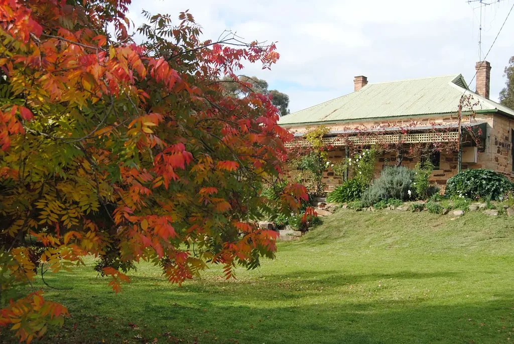 BEAUTIFUL STONE HOMESTEAD - CLOSE TO RYLSTONE