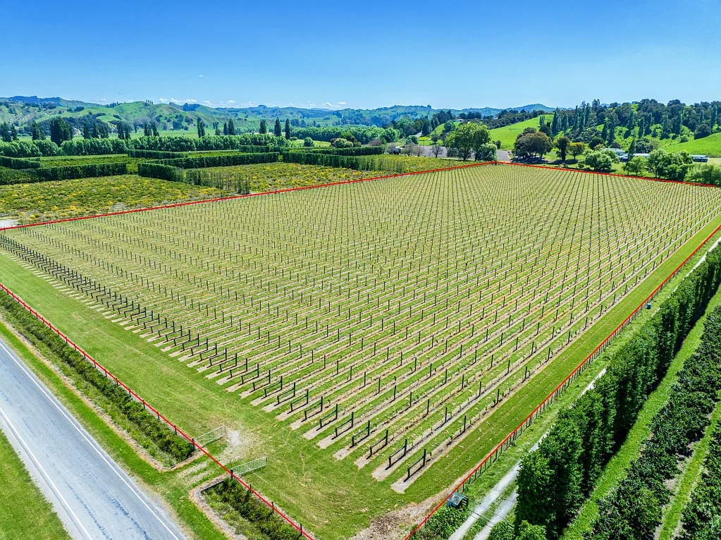 Ormond Bare land or vineyard - your choice!