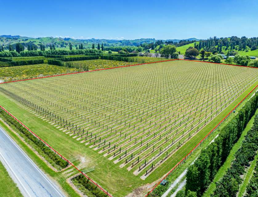 Ngakoroa Road, Ormond, Gisborne, 0 ਕਮਰੇ, 0 ਬਾਥਰੂਮ, Viticulture