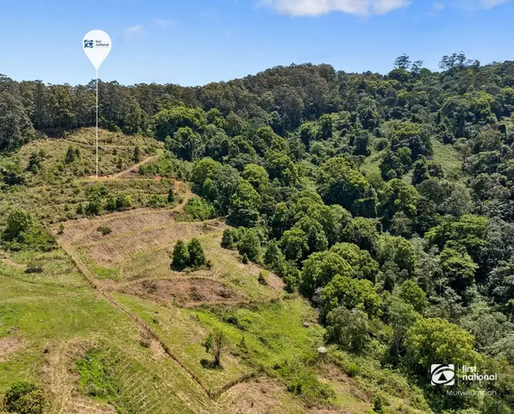 Tomewin Eight Elevated Acres on the NSW–QLD Border