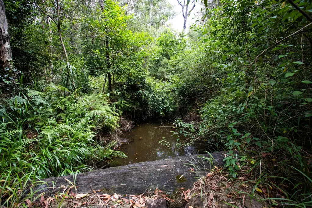 Mororo PRISTINE WILDERNESS awaiting development