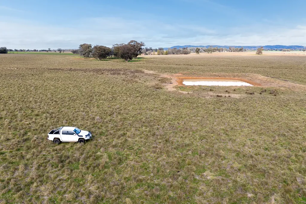 Cowra  157ACRE*, PRIME COUNTRY WITH A BUILDING ENTITLEMENT!