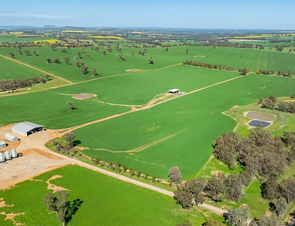 1726 Howlong Burrumbuttock Road, Burrumbuttock, Riverina, 5 rūma, 2 rūma horoi, Lifestyle Property