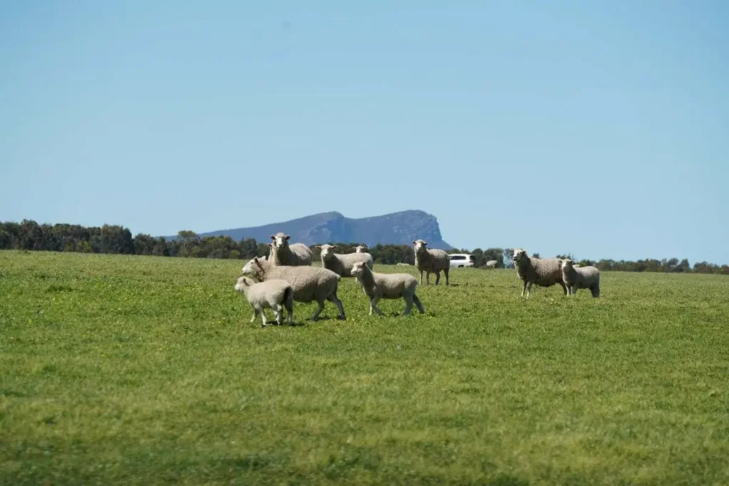 Moutajup Location - Diversity - Longstanding ownership