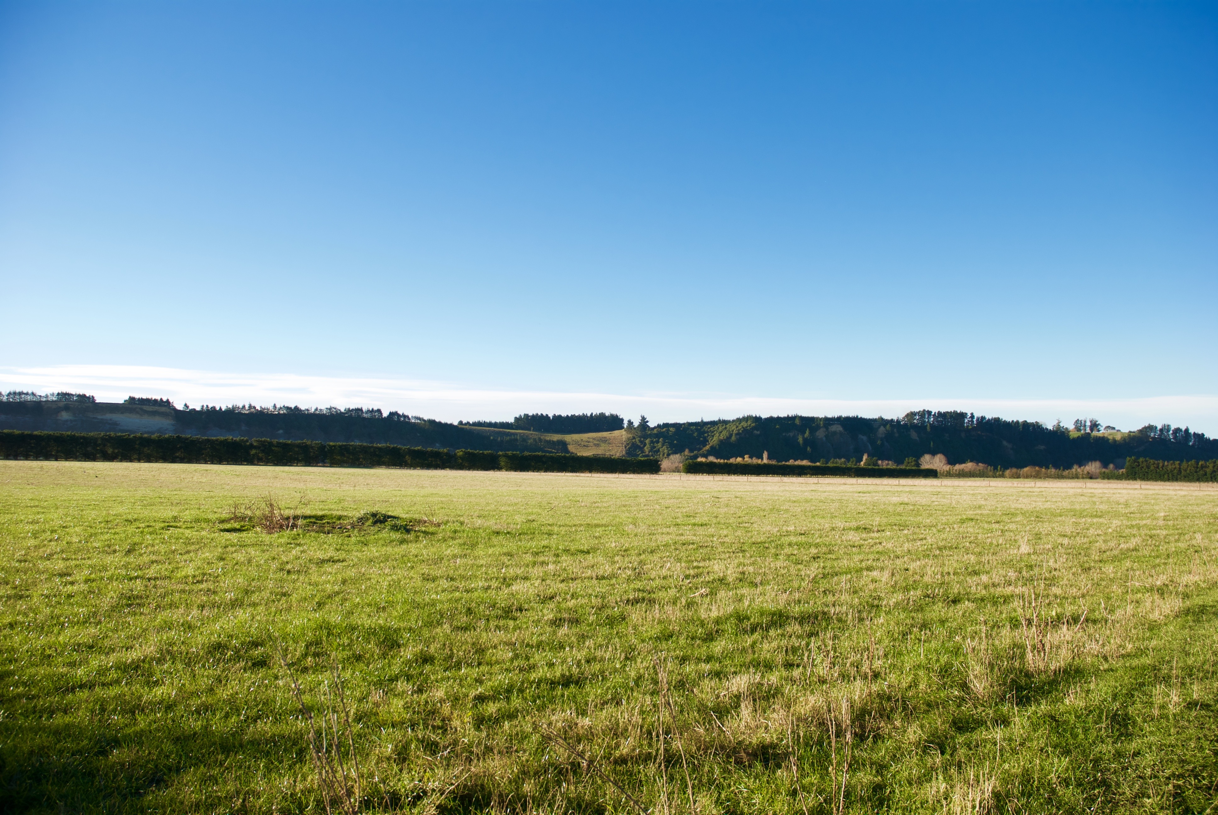 Blue Cliffs Road, Saint Andrews, Waimate, 0 कमरे, 1 बाथरूम