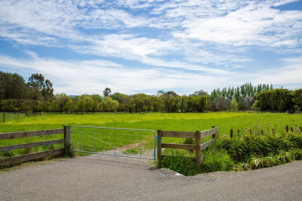 Greytown Your dream home build - starts here!