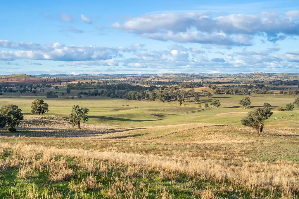 Cowra 571ACRES* OF HIGH QUALITY CREEK FLATS WITHIN 5MIN'S FROM TOWN!