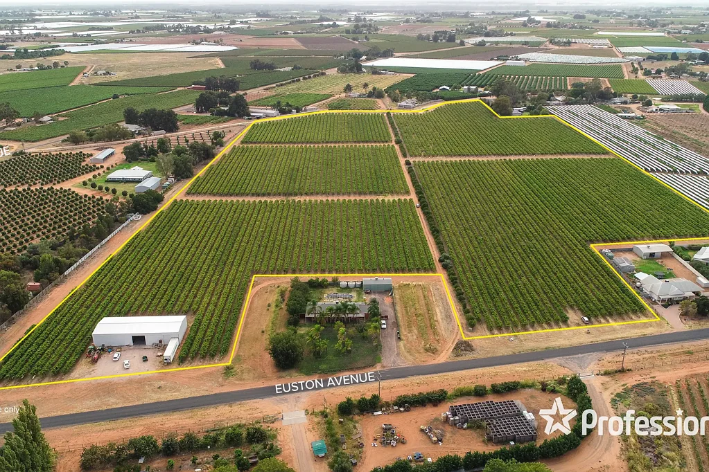 Red Cliffs Fresh Fruit Property on 13.5Ha in Red Cliffs