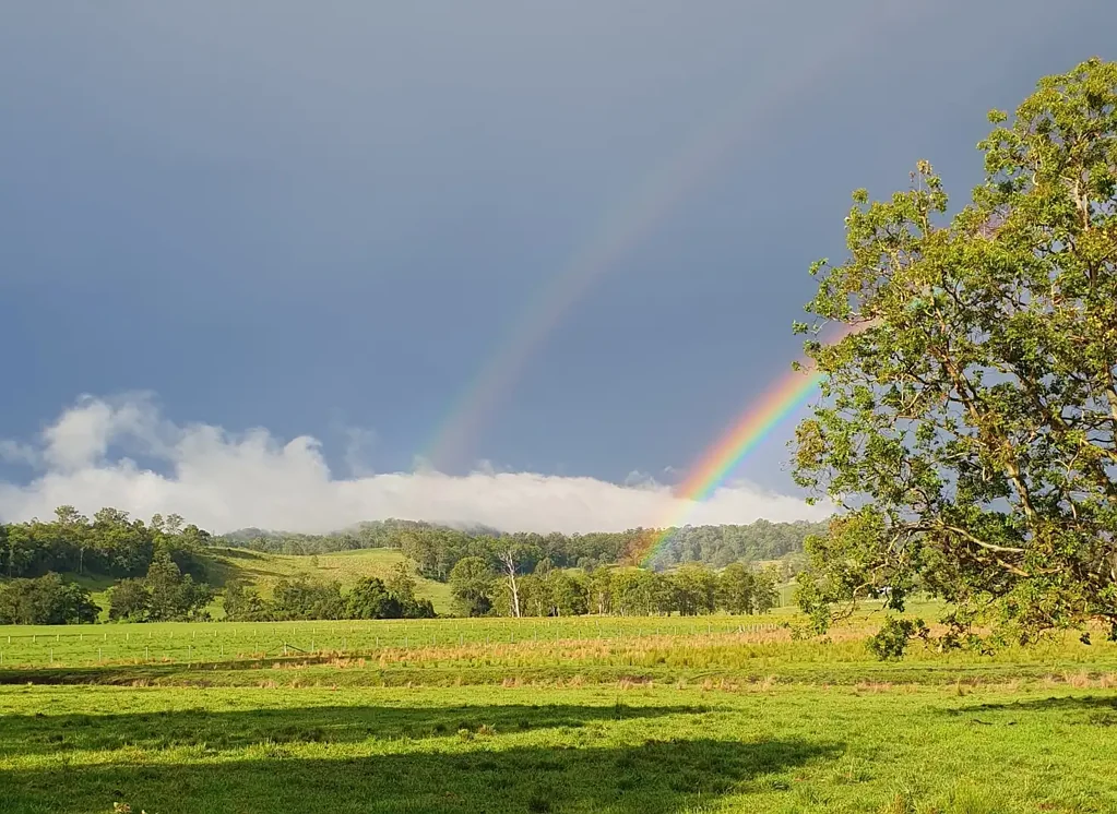 Kyogle "KILLALOE" - 136 ACRES