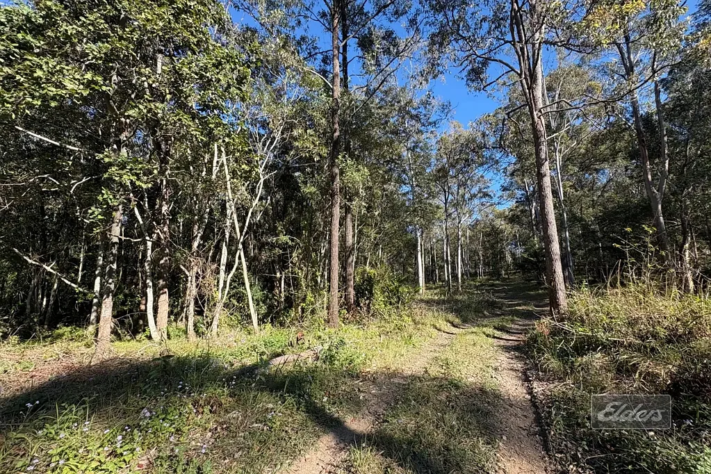 Lot 311 Faine Road, Bauple, QLD 4650