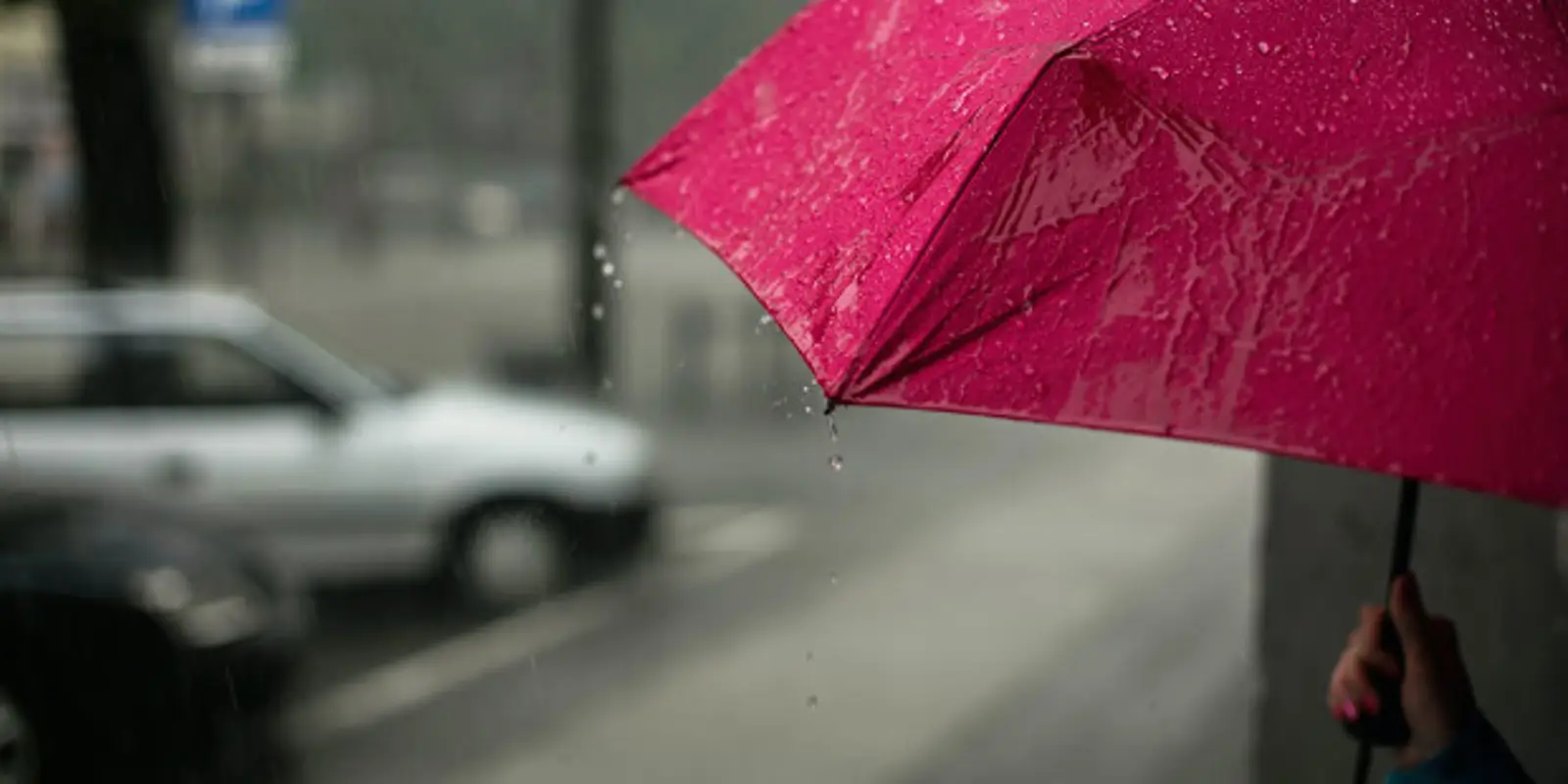 雷暴+大雨!刚刚,奥克兰发布重要预警!涉及全国多地