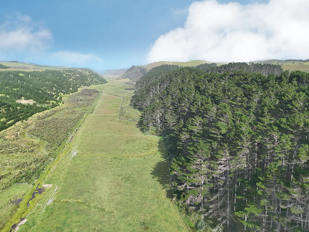 Dargaville A Larger Lifestyle Opportunity