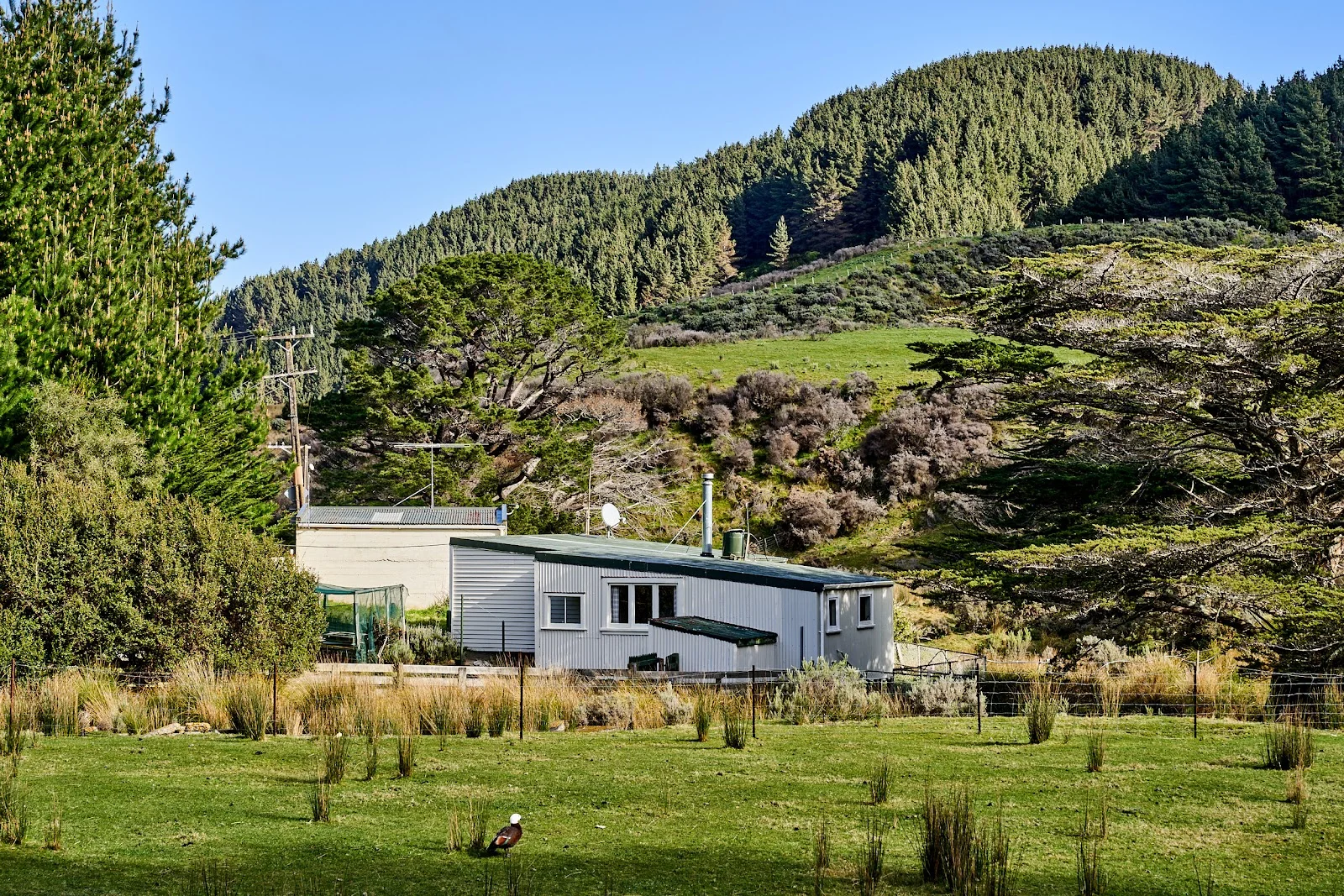 Makara 2房 Dreams of Horsing Around - Cottage and Land