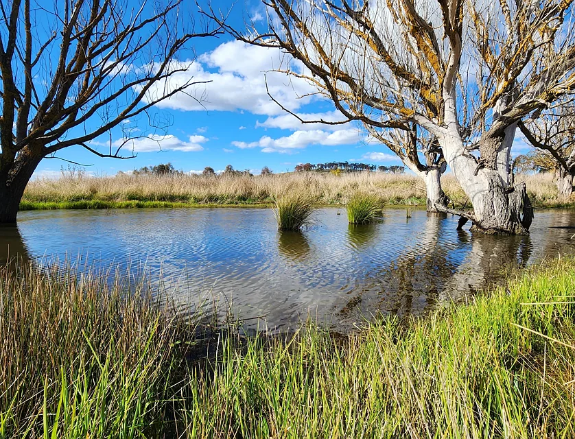 1084 Springrange Road, Springrange, Rest of NSW, 0 ਕਮਰੇ, 0 ਬਾਥਰੂਮ, Section
