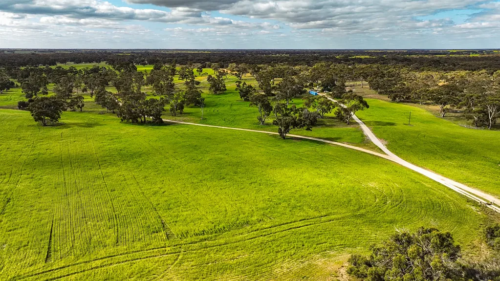 Bordertown  Crop | Graze | Golf