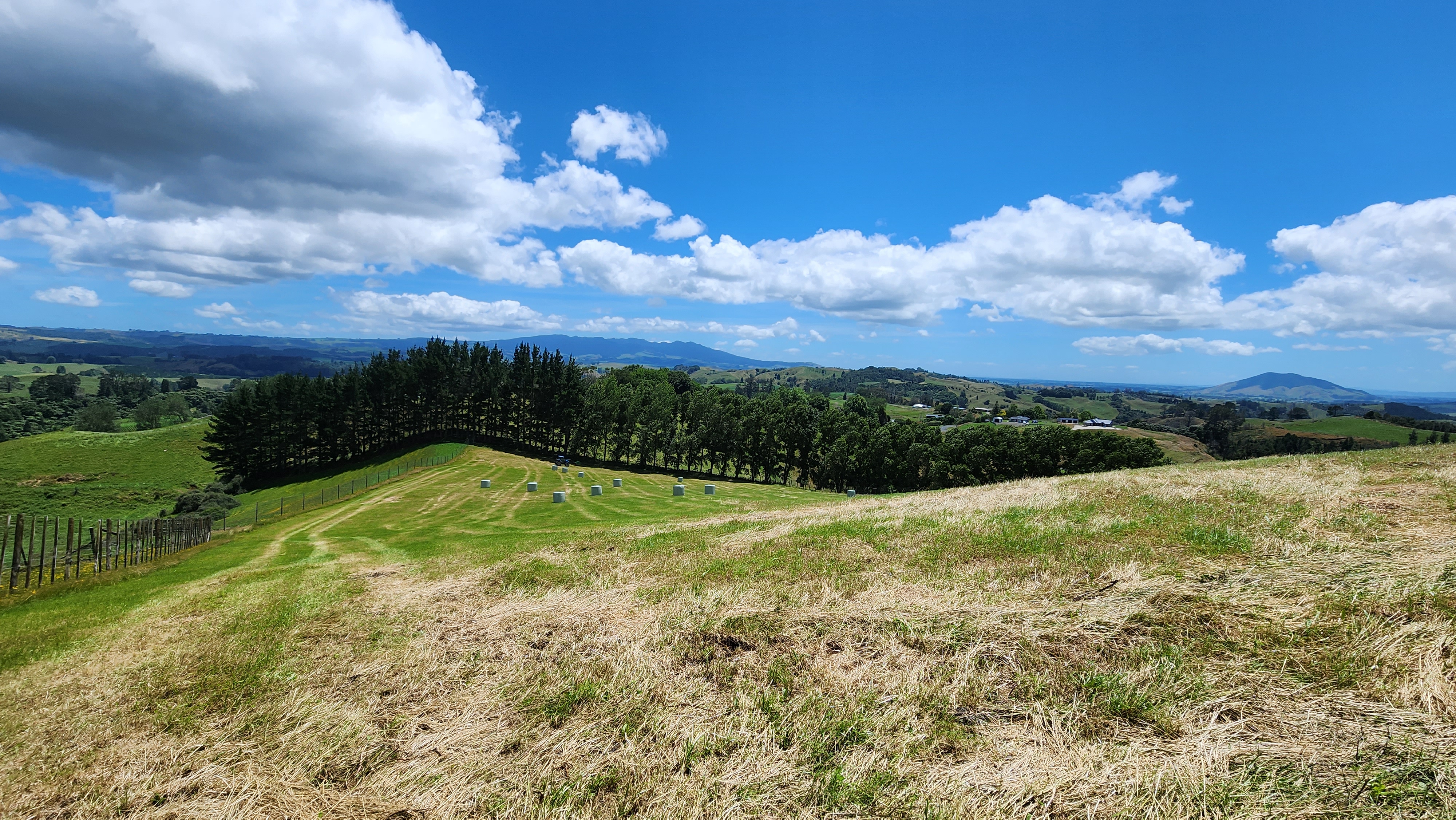 481 Honikiwi Road, Otorohanga, Otorohanga, 0 phòng ngủ, 1 phòng tắm, Bare Land