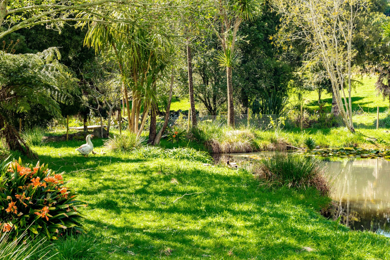 266 Cemetery Road, Maunu, Whangarei, 3 Kuwarto, 0 Banyo