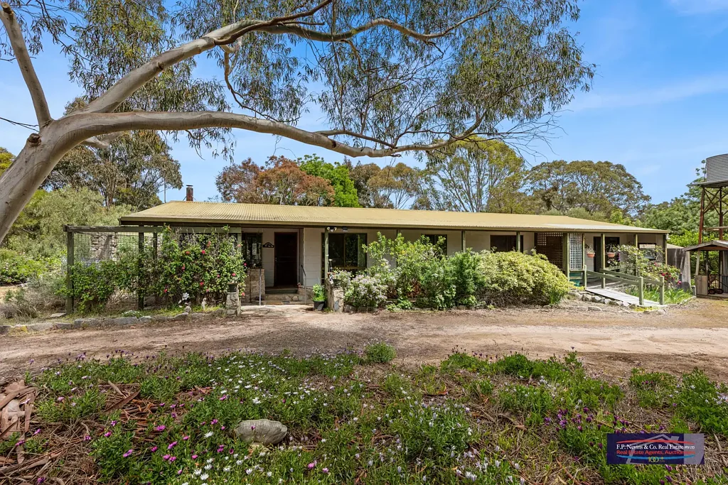 Ravenswood South Scenic Ravenswood South