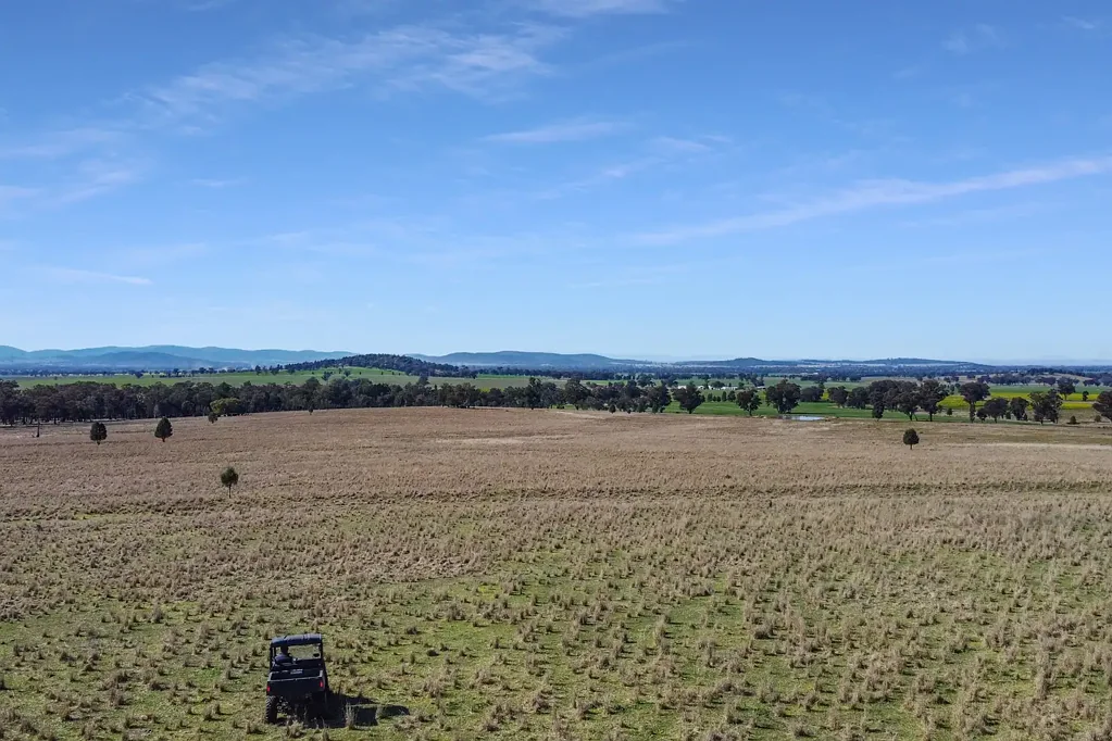Gooloogong FRESH CATTLE GRAZING & FARMING COUNTRY!