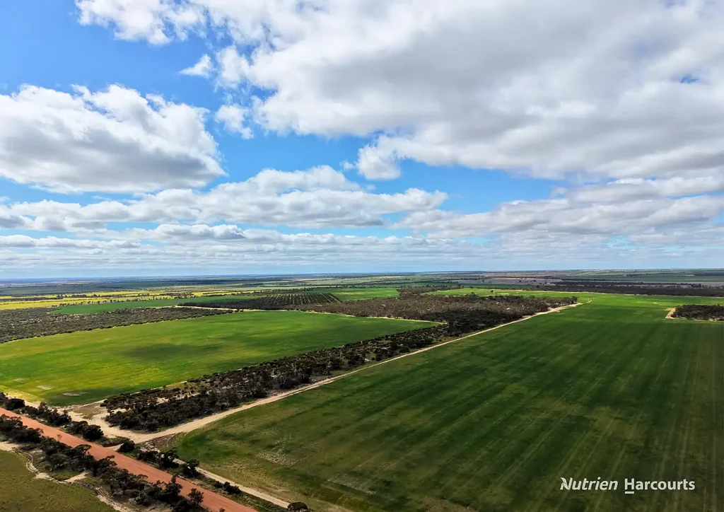 Gabbin GABBIN via KOORDA - 958 ACRES OF ARABLE COUNTRY, BEAUTIFUL BUSHLAND & SANDALWOOD