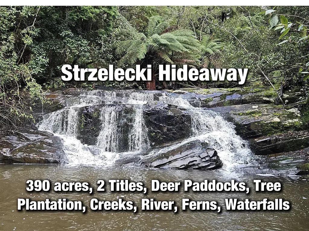 Grand Ridge 390 acres, House, Pasture, Deer, Ferns, Waterfalls...