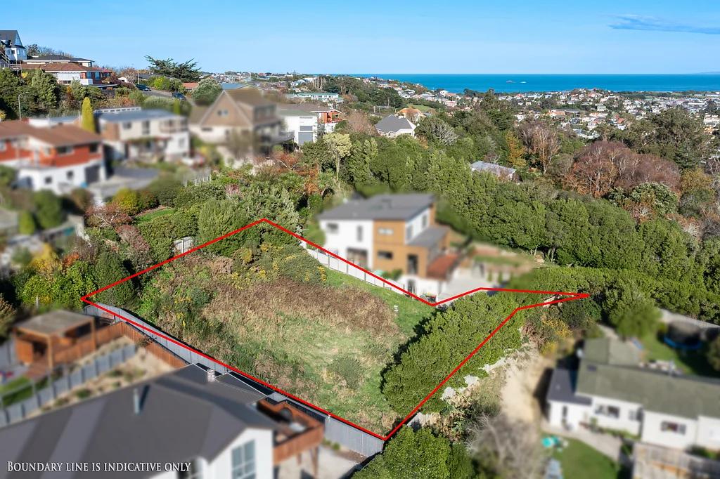 1 Lauriston Street, Andersons Bay, Dunedin City, Otago