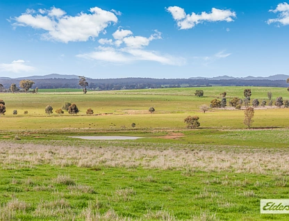  Moorabbee Foreshore Road, Knowsley, Wangaratta, 0 chambres, 0 salles de bain, Lifestyle Property