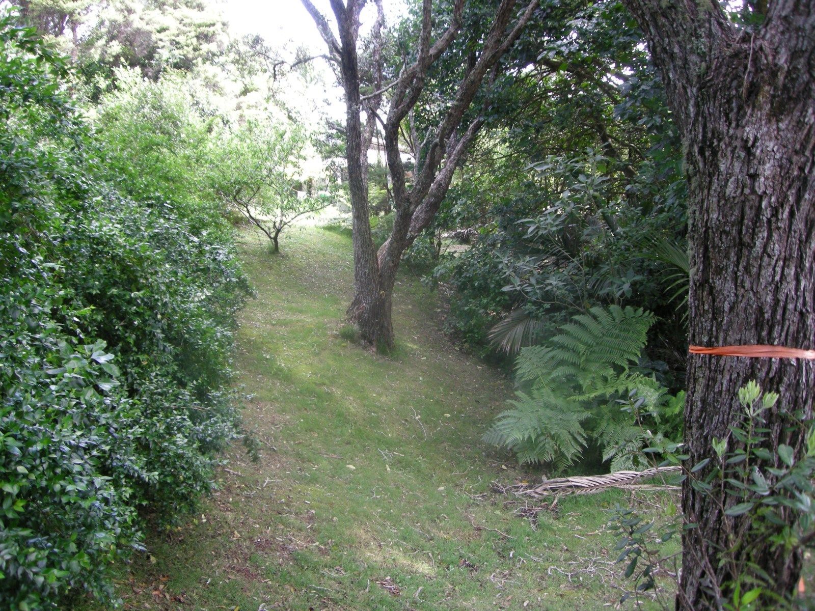 Hauraki Gulf Islands