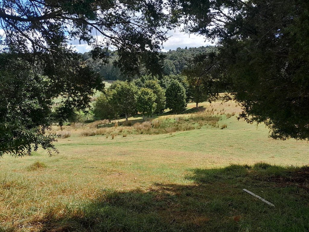 Kerikeri Native Bush, Grass, Privacy, Land