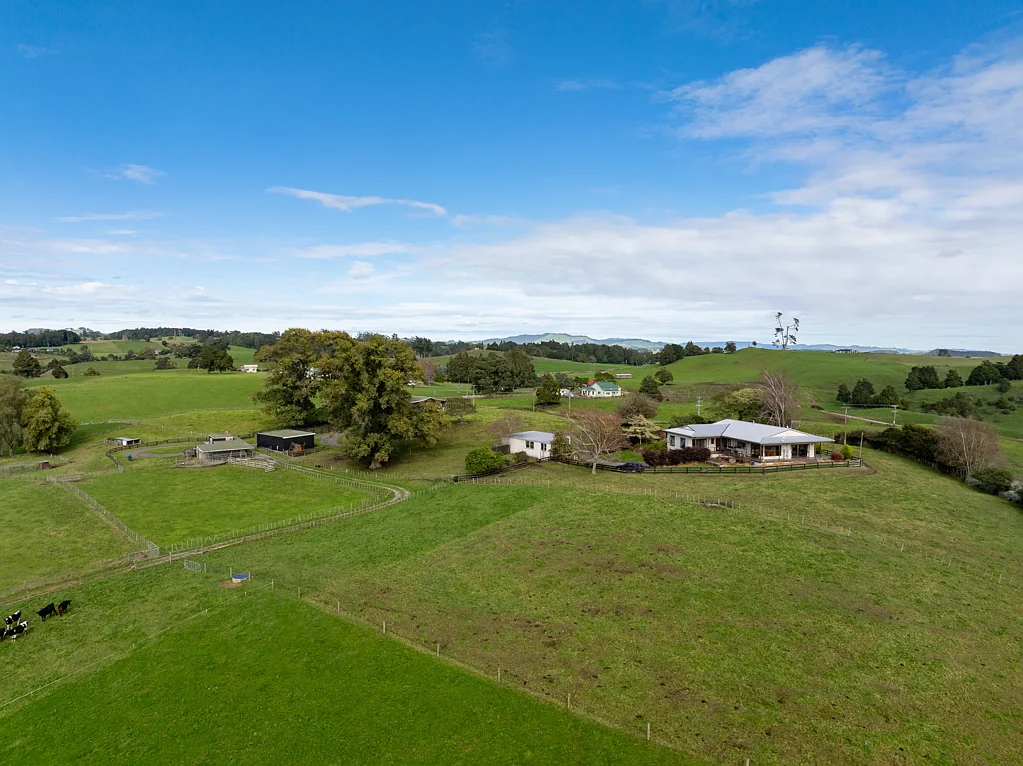 Putaruru  Grazing with great family home!