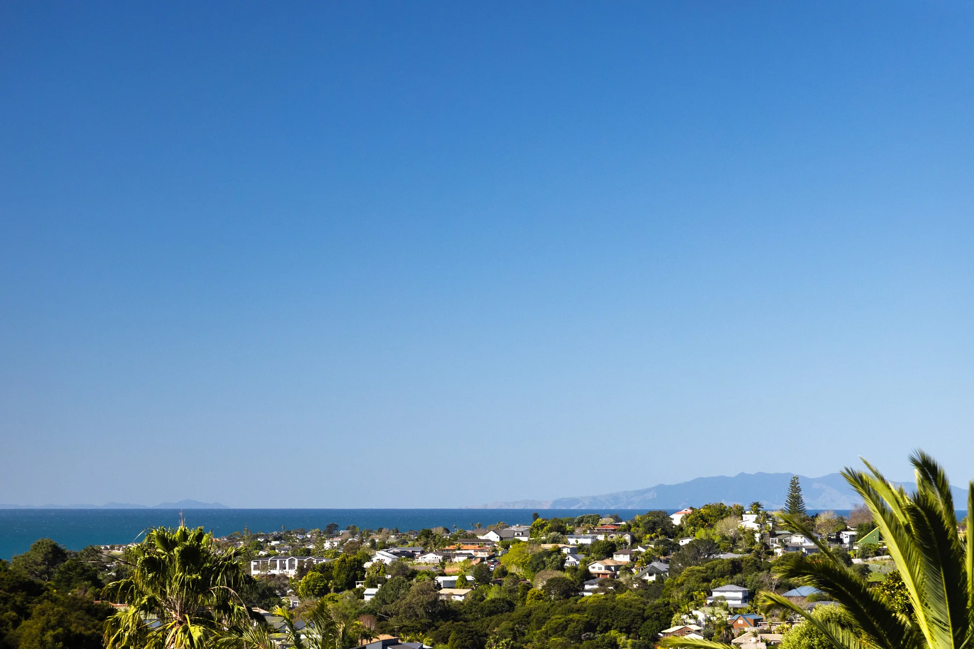 10 Glenreagh Place, Torbay, photo 9
