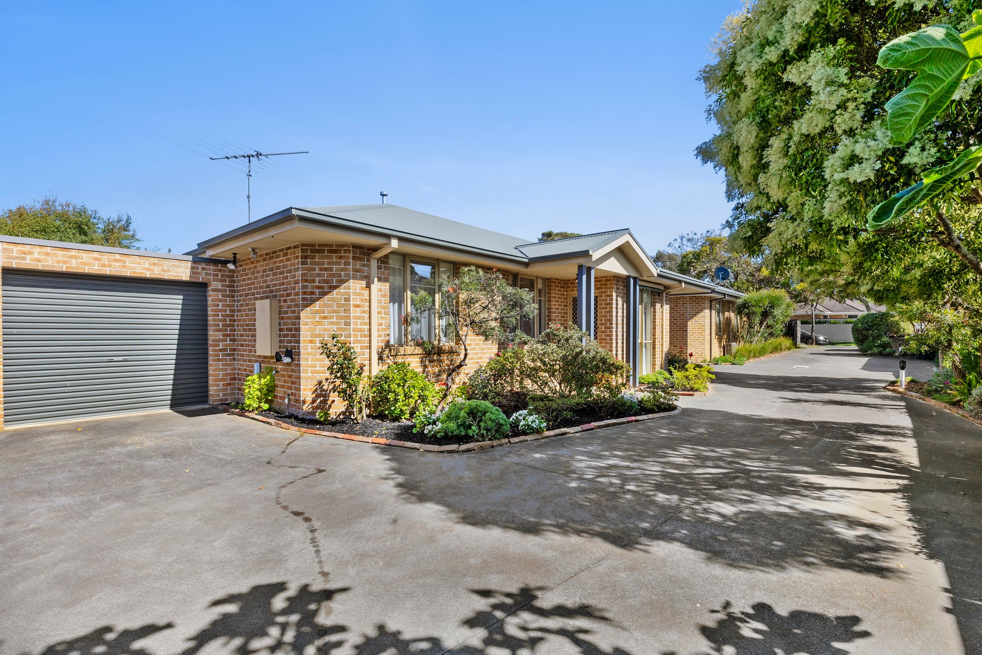 62 MADELEY ST, OCEAN GROVE VIC 3226, 0 ਕਮਰੇ, 0 ਬਾਥਰੂਮ, Unit