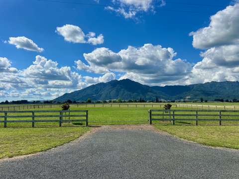 Te Aroha The King of all sections!